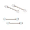 Faceted Gem Forward Facing Nipple Barbells In 2-Prong's - Pair -Starfire – Body Jewelry 40062 IndustrialStrengthI.S.FacetedGemForwardFacingNippleBarbellsin2 Prong s pairAsstGroup2