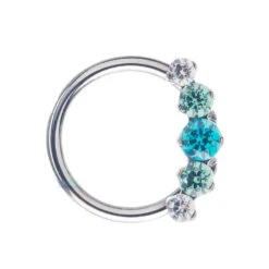 "Prium" Faceted Gem Cluster Captive Bead Ring (CBR) - Custom Color Combos -Starfire – Body Jewelry 40075 Industrial Strength CZ Prium Cluster Captive Bead Ring CBR custom color combos Single 16 ga 3.8 WCZ FLG MGCZ FLG WCZ 1