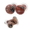 Stone Plugs - Leopardskin Jasper -Starfire – Body Jewelry 40127 OracleBodyJewelryStonePlugsAsstGroupLeopardskinJasper