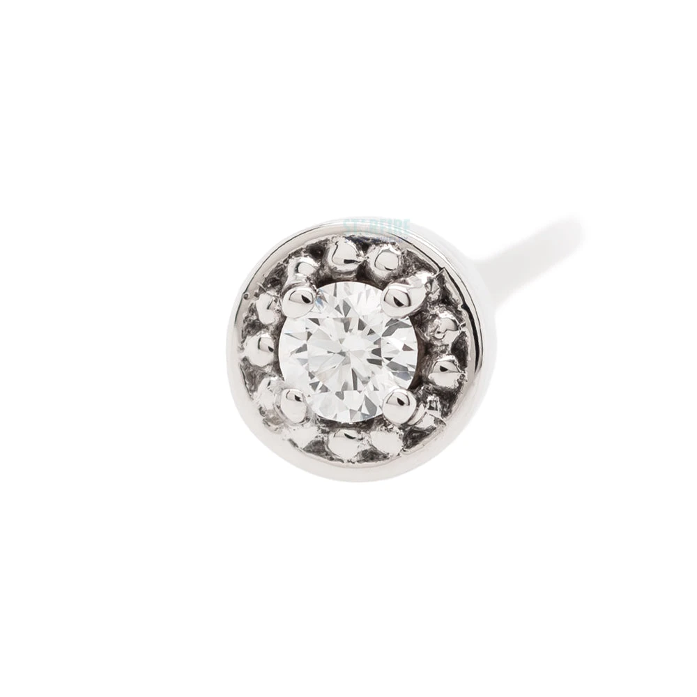 Milgrain Prong Nostril Screw In Gold With DIAMOND 6 Milgrain Prong Nostril Screw In Gold With DIAMOND - Image 4