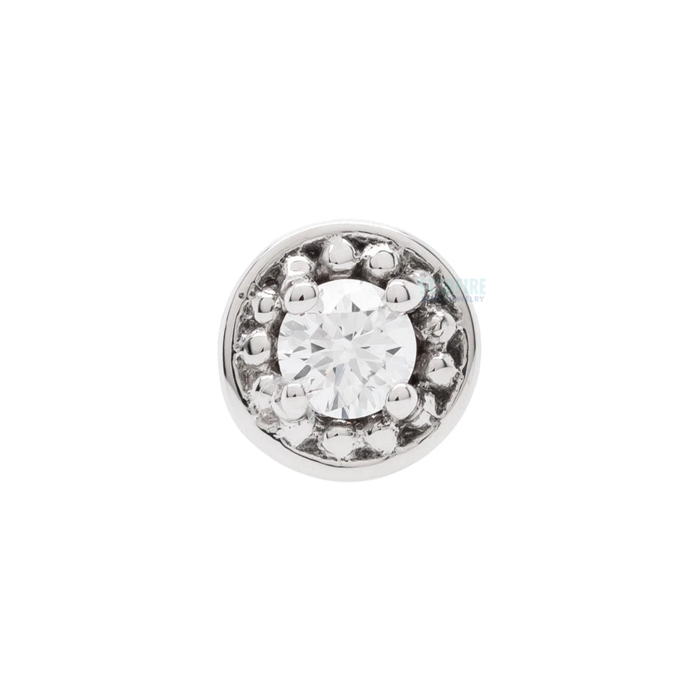 Milgrain Prong Nostril Screw In Gold With DIAMOND 4 Milgrain Prong Nostril Screw In Gold With DIAMOND - Image 2