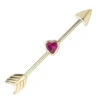 "Straight Thru My Heart" Industrial Barbell In Gold With Red CZ -Starfire – Body Jewelry 40509 BVLABodyVisionStraightThruMyHeartIndustrialBarbellinGoldSingleRightEar1 1bc76665 c73a 4f44 8eae f405d07a2e35