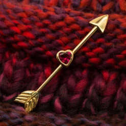 "Straight Thru My Heart" Industrial Barbell In Gold With Red CZ -Starfire – Body Jewelry 40509 BVLABodyVisionStraightThruMyHeartIndustrialBarbellinGoldzFunkyRightEar1 320c714e 4f59 44b2 b63d 67773aea27d8