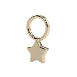 Star Charm In Gold & Platinum
