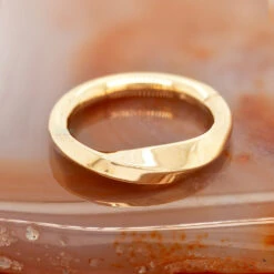 "London" Hinge Ring / Clicker In Gold -Starfire – Body Jewelry 42078 TawapaLondonHingeRingClickerinGoldzfunky