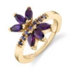 "Fernanda" Hinge Ring In Gold With Amethyst & Iolite -Starfire – Body Jewelry 42653 BodyVIsion BVLAFernandaHingeRinginGoldwithAmethyst IoliteSingleYellowGoldVENDORPHOTO